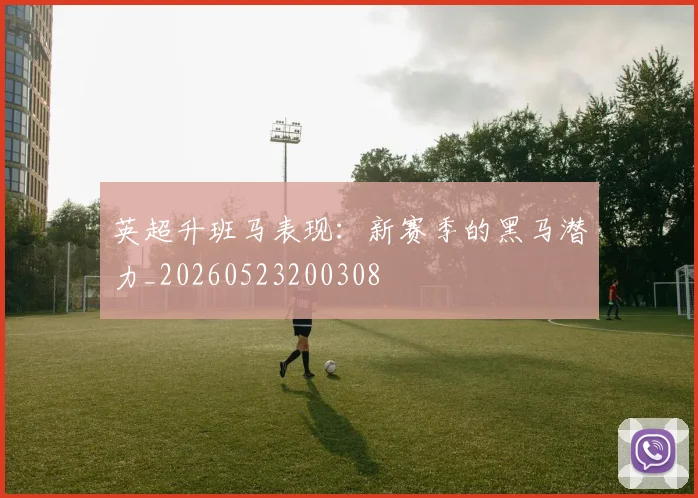 英超升班马表现：新赛季的黑马潜力_20260523200308